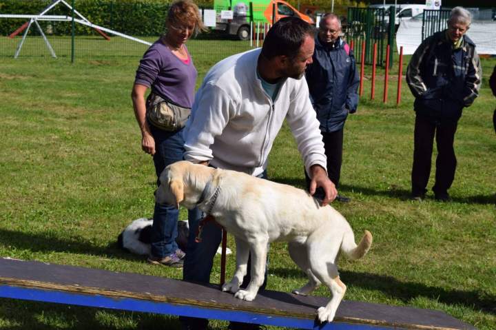 Éducateur de chien Bèze