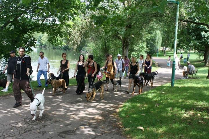 Éducation canine Bèze